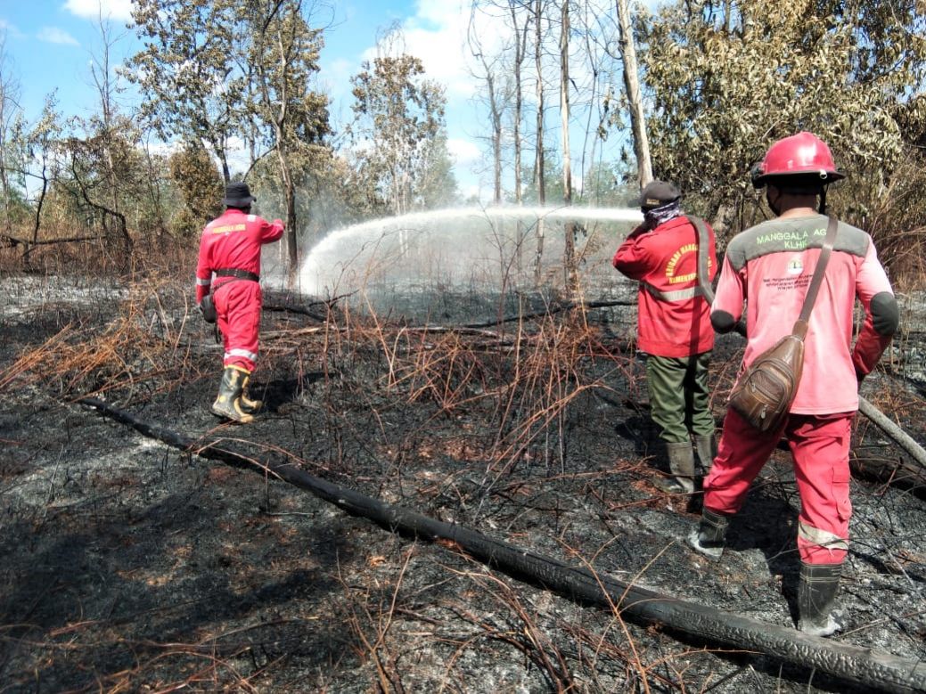 1,5 Hektar Lahan di Bunsur Sungai Apit Terbakar