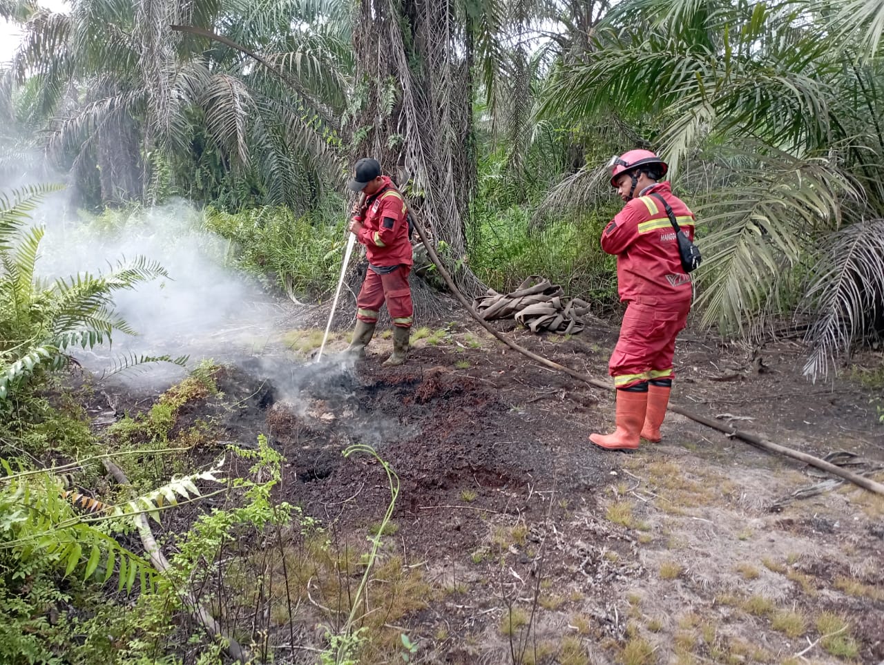 20 Hektar Lahan di Kandis Siak Terbakar