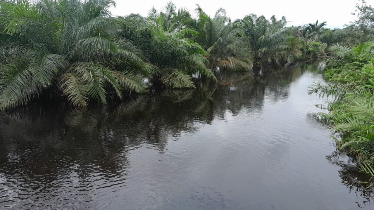 3 Bulan Kebun Warga Benteng Hulu Terendam Banjir, Warga : Kami Kesulitan Mengeluarkan Hasil Kebun