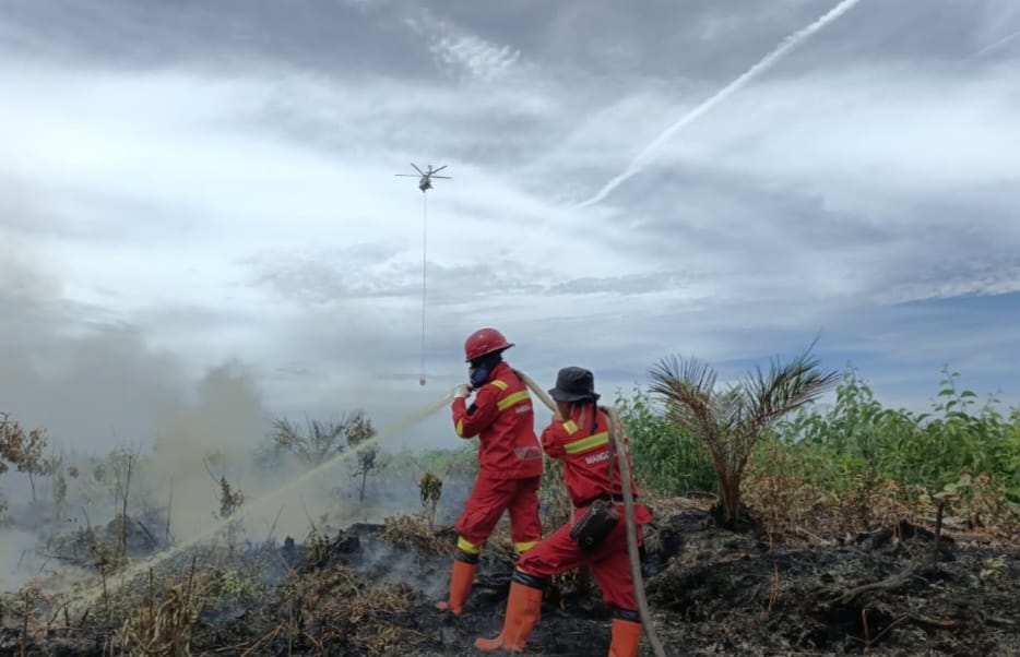 Dikepung Angin Kencang dan Bara Bawah Tanah, Manggala Agni Ekstra Kerja Keras Jinakkan Karhutla Rantau Bais