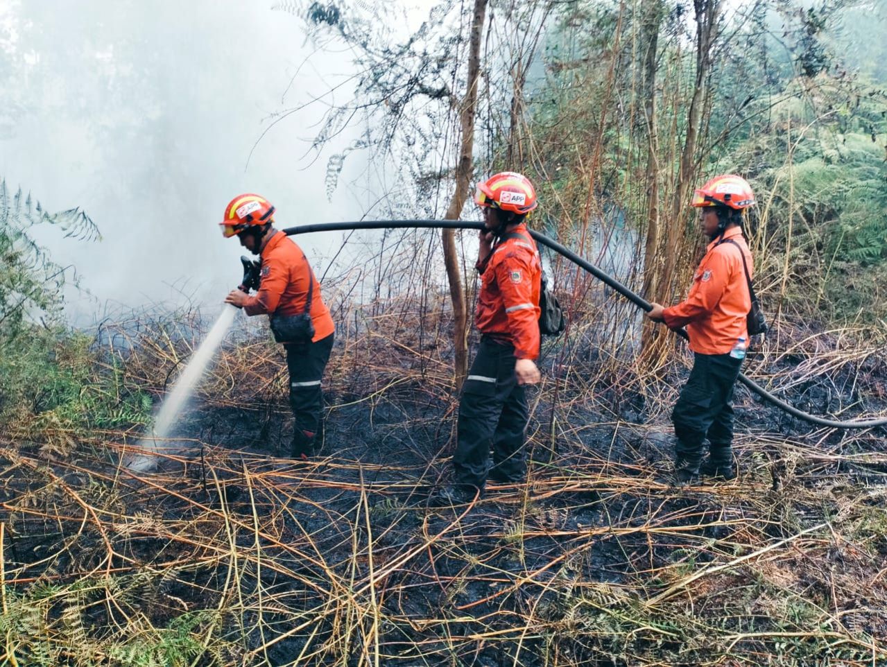 Empat Hektar Lahan di Sungai Apit Siak Terbakar, Api Belum Padam