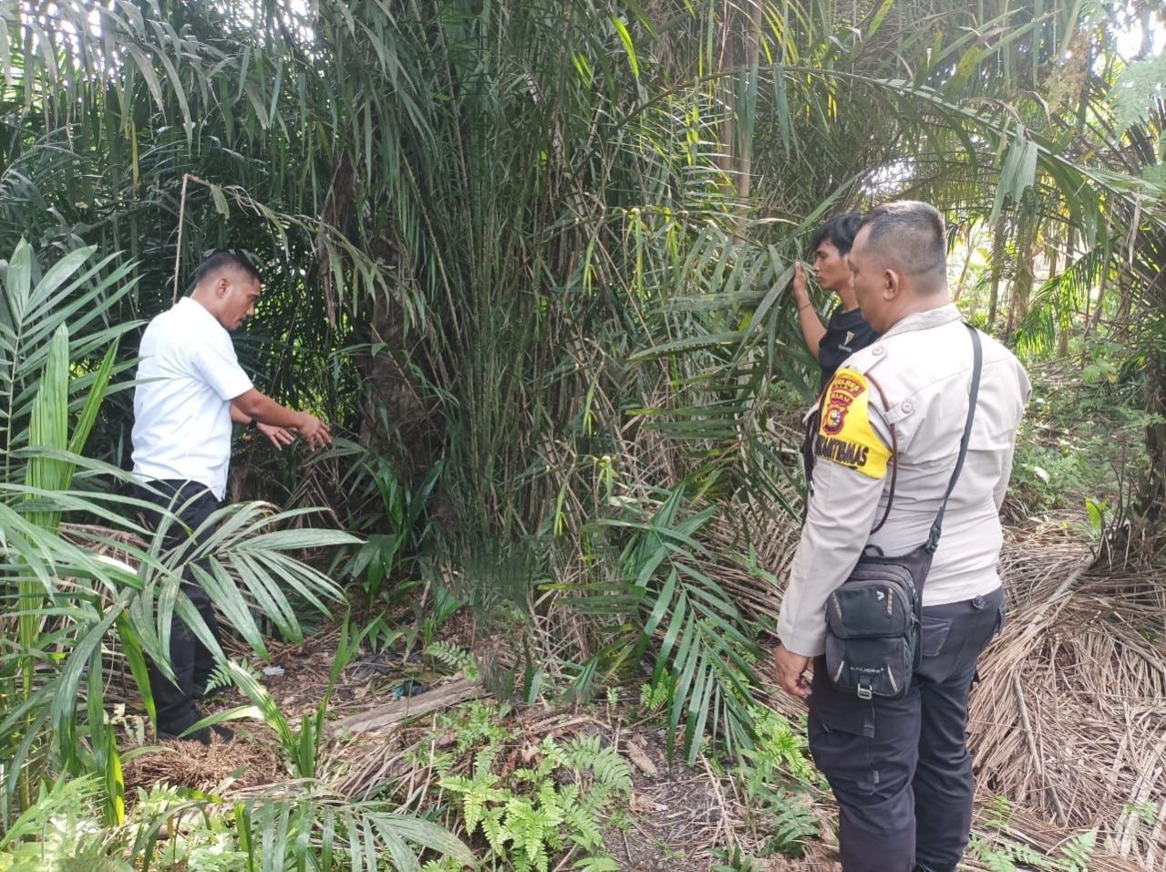 Gadis Remaja di Siak Digauli Enam Orang Selama Tiga Hari, Dua Pelaku Masih Kelas Tiga SD