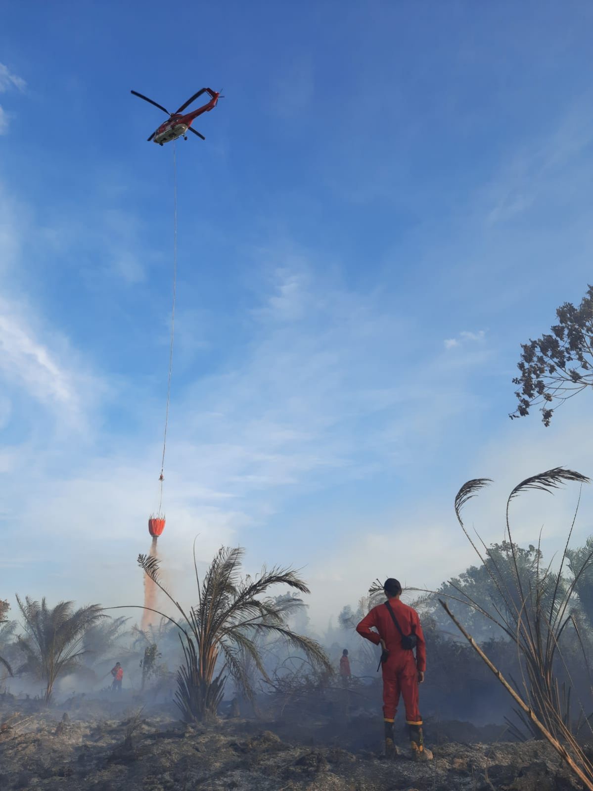 Karhutla Mulai Melanda, Dua Hektar Lahan di Koto Gasib Siak Terbakar