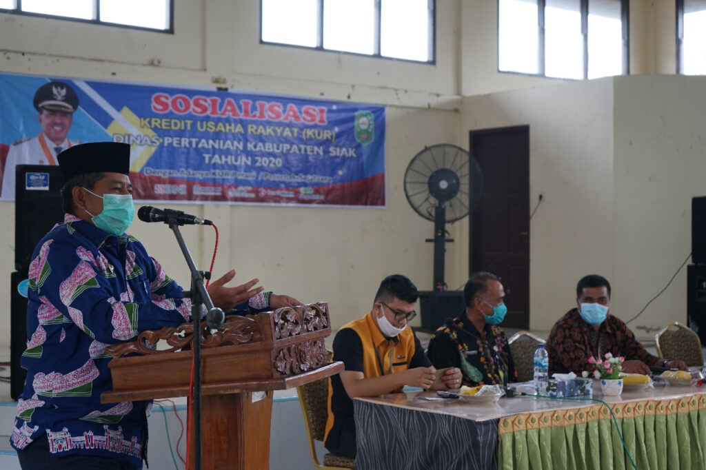Kembangkan Usaha, Bupati Siak Ajak Petani Manfaatkan Program KUR