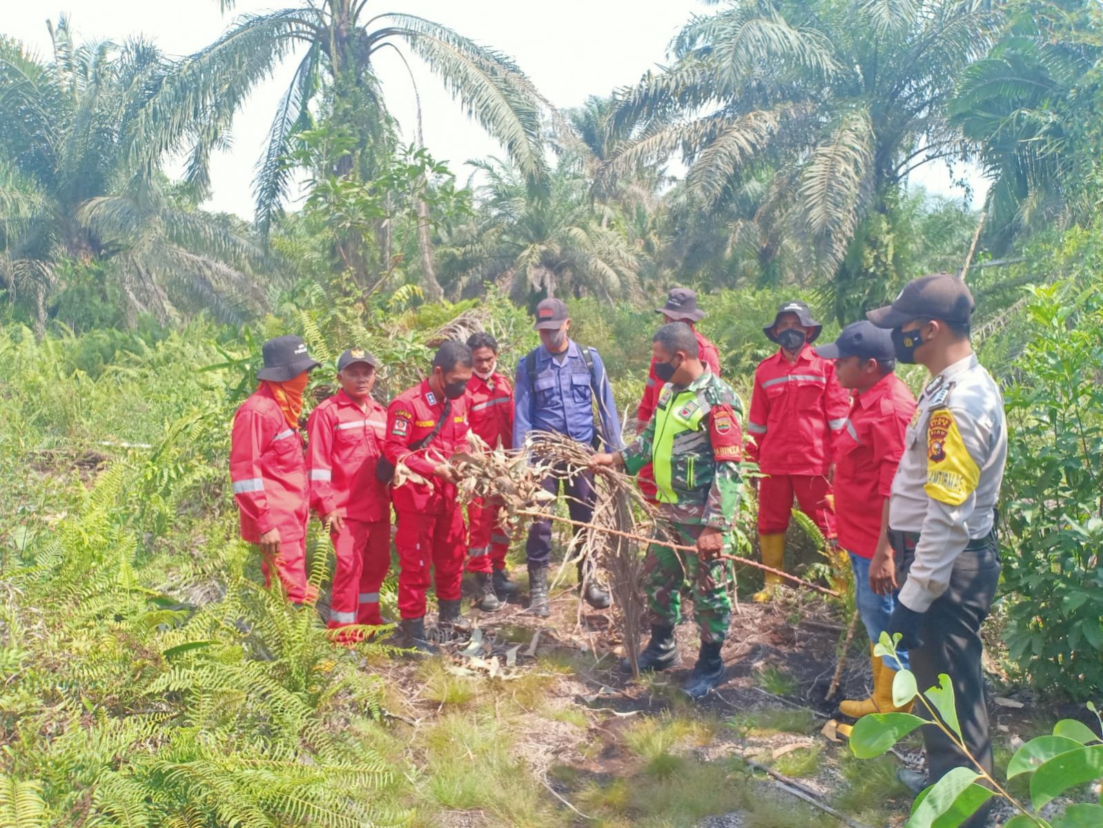 Masyarakat Peduli Api Paralegal jadi Solusi Permanen Pencegahan Karhutla