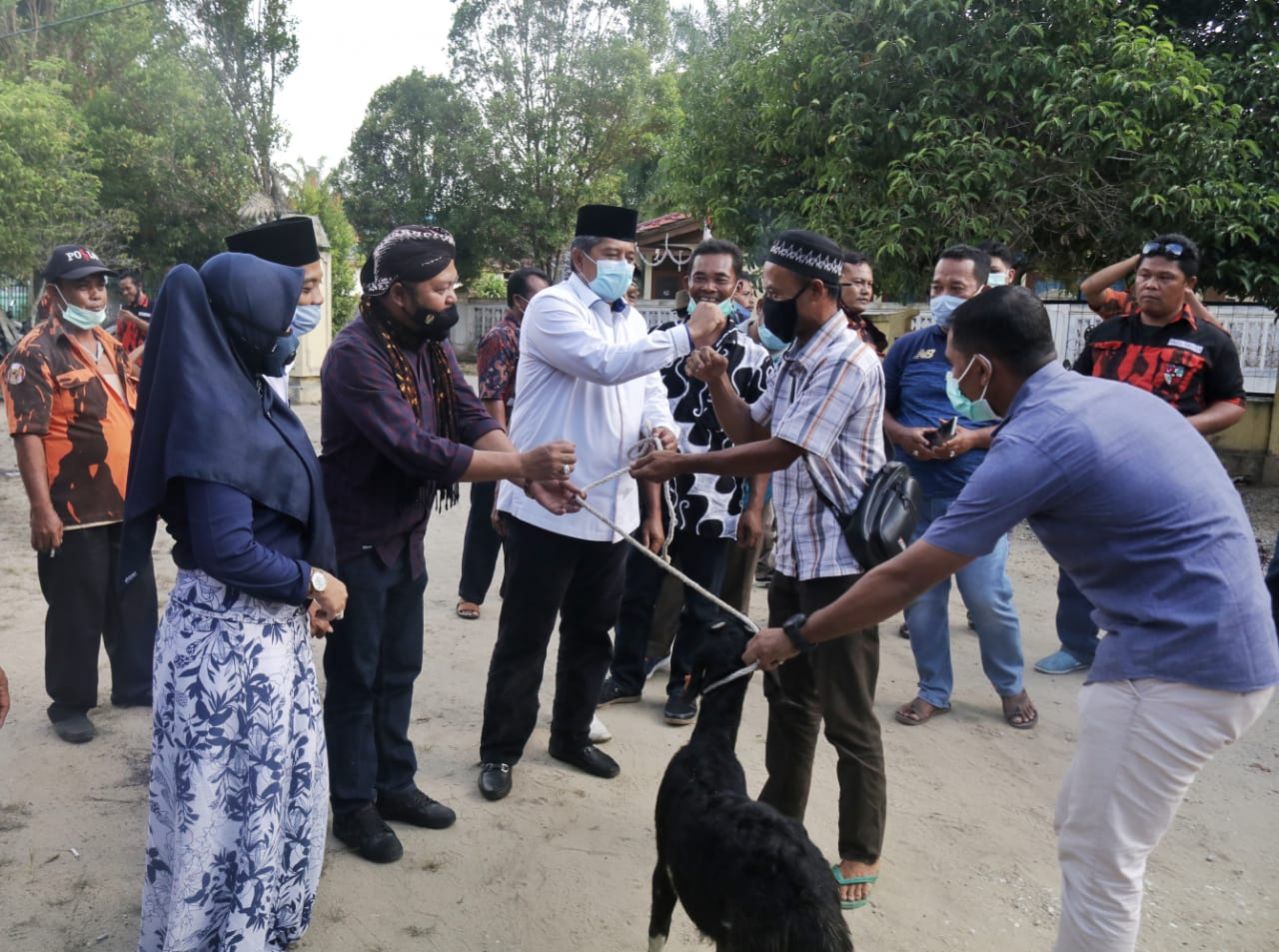 Pemkab Siak Terima 25 Ekor Kambing dari Dirjen Peternakan dan Kesehatan Hewan