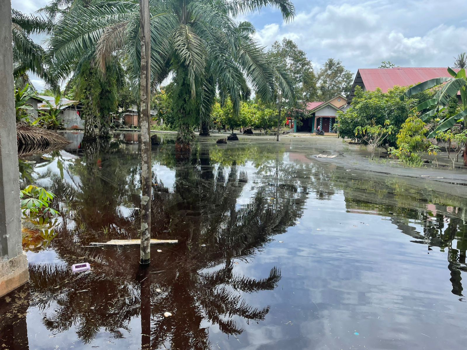 Ribuan Jiwa Terdampak Banjir di Enam Kecamatan di Siak, Ada Balita dan Anak Sekolah
