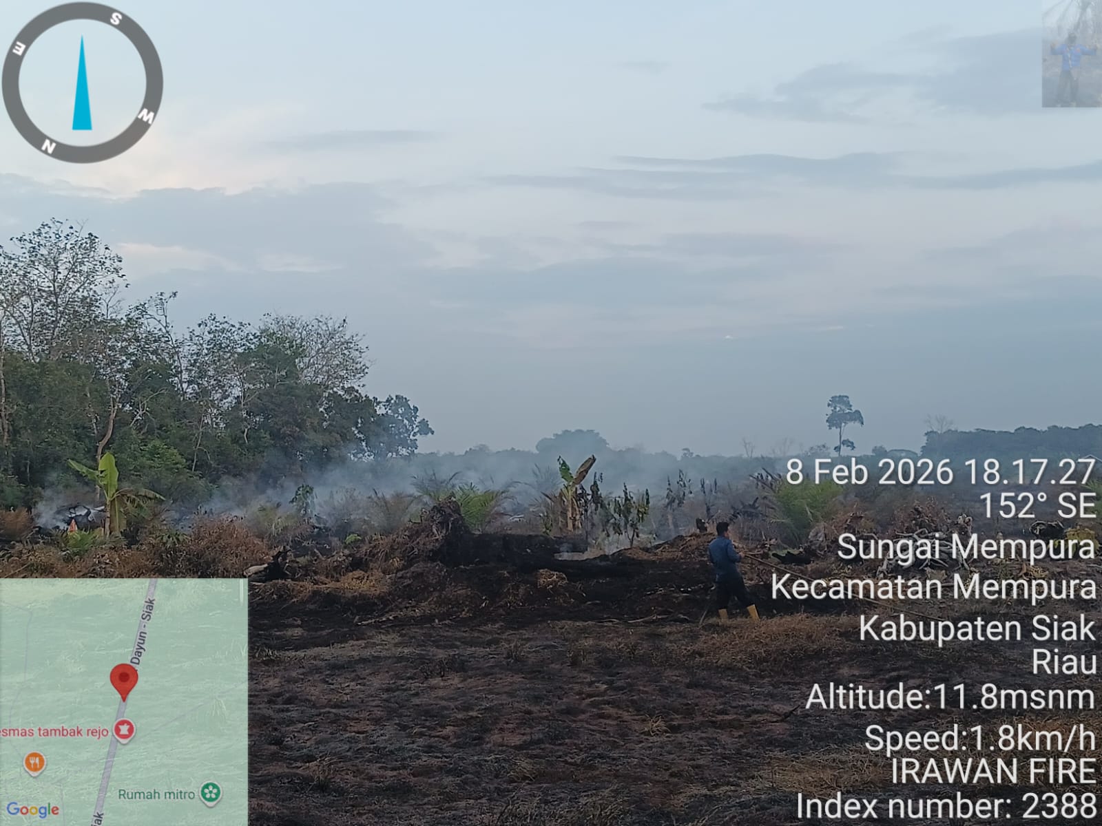 Siak Membara! 1,5 Hektar Lahan Gambut Tambak Rejo Dilalap Api, 6 Titik Panas Tersebar di 4 Kecamatan