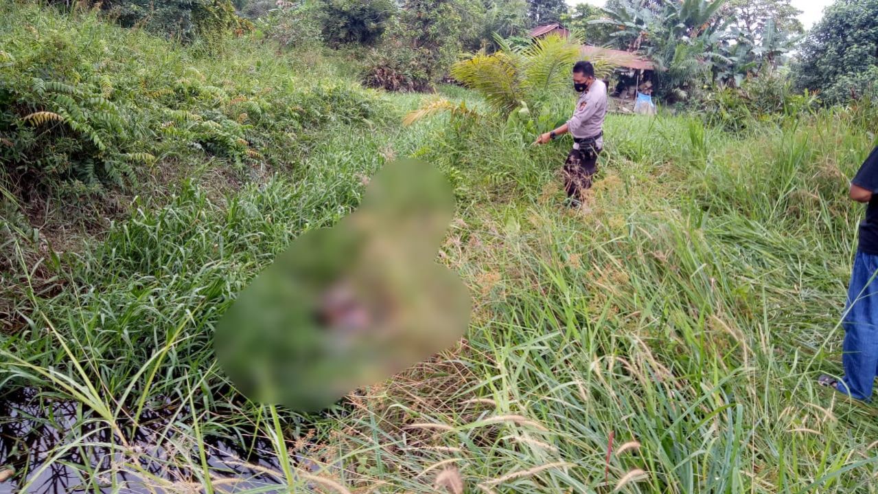 Warga Tualang Siak Digegerkan Temuan Mayat Membusuk di Bawah Jembatan Maredan