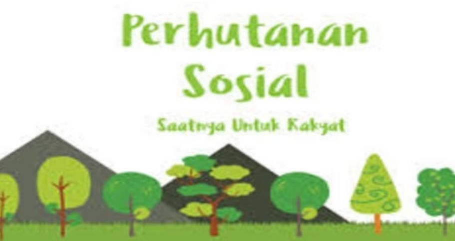 YEZ Siak Sebut Penguasaan Lahan melalui Perhutanan Sosial Masih Minim